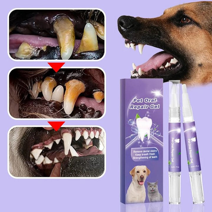 🥳2026 HOT SALE🥳💞50K+ SOLD! 🔥Pet Oral Repair Gel Toothbrush 🐱🐶